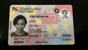 Licencia de conducir de Maryland