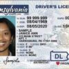 Licencia de conducir de Pensilvania