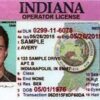 Licencia de conducir de Indiana