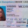 Licencia de conducir de Hampshire